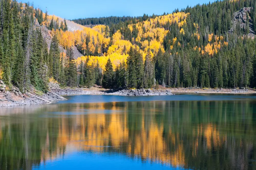 Grand Mesa National Forest