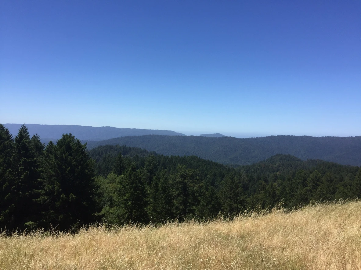 Portola Redwoods State Park