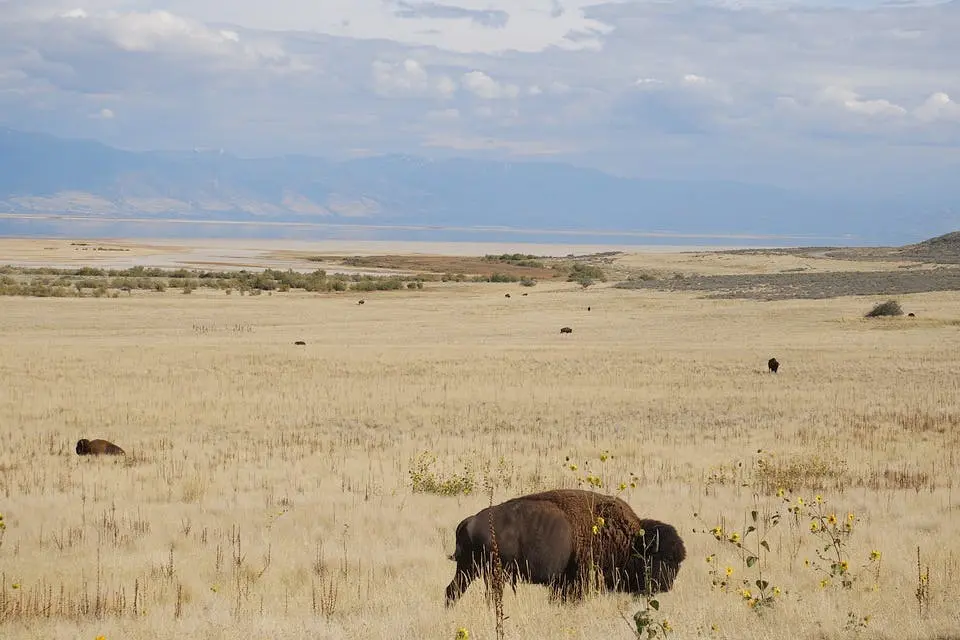 San Francisco to Salt Lake City Road Trip Section Image