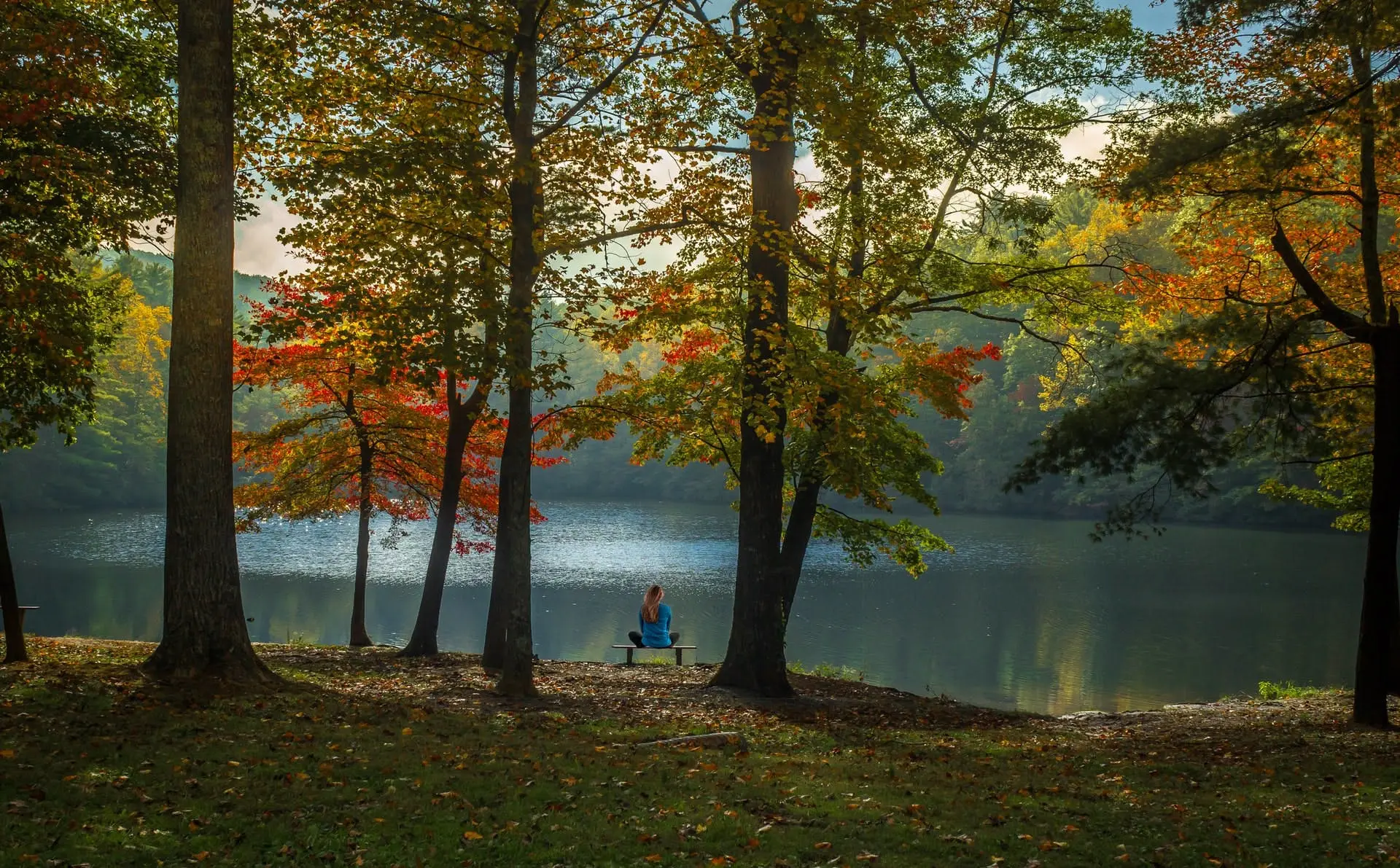 Atlanta to Portland Road Trip Section Image