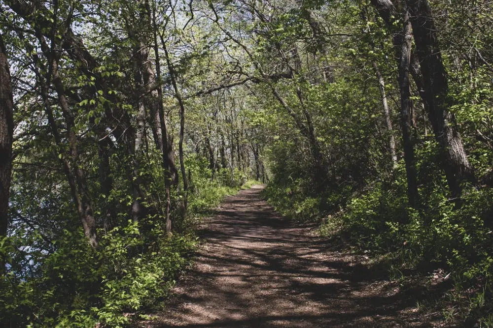 Lowden State Park