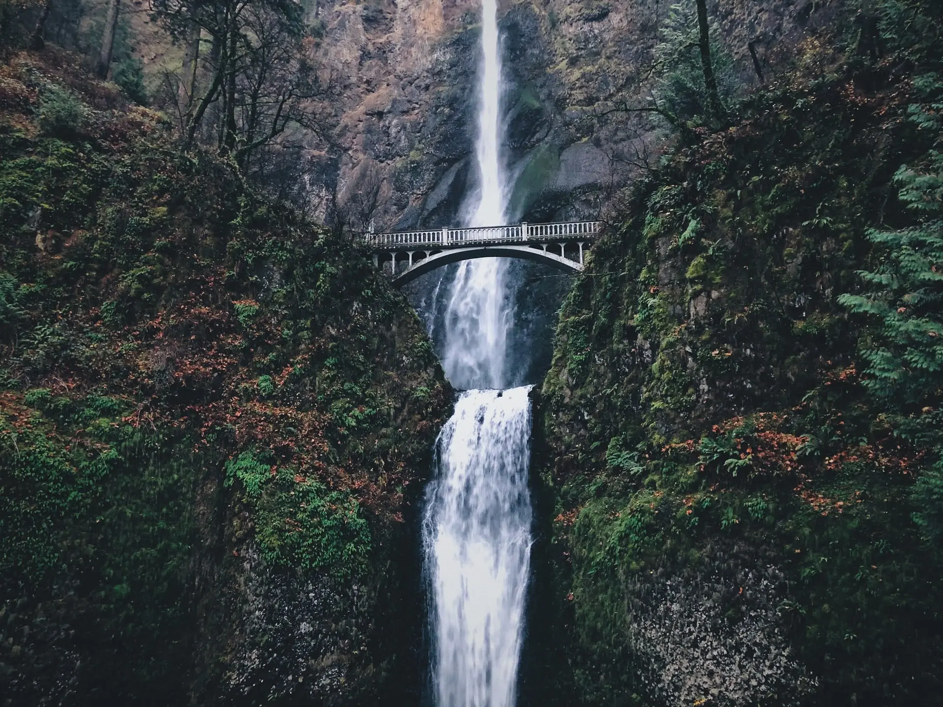 Atlanta to Portland Road Trip Section Image