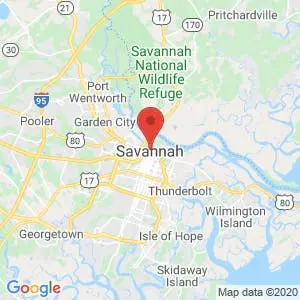 Savannah map