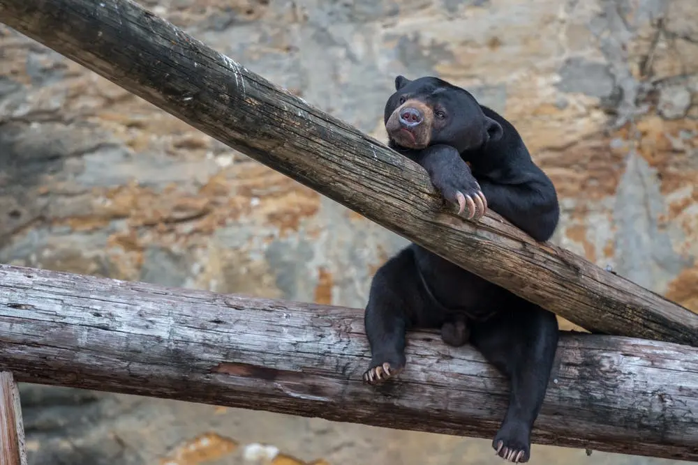 Houston to San Antonio Road Trip Section Image