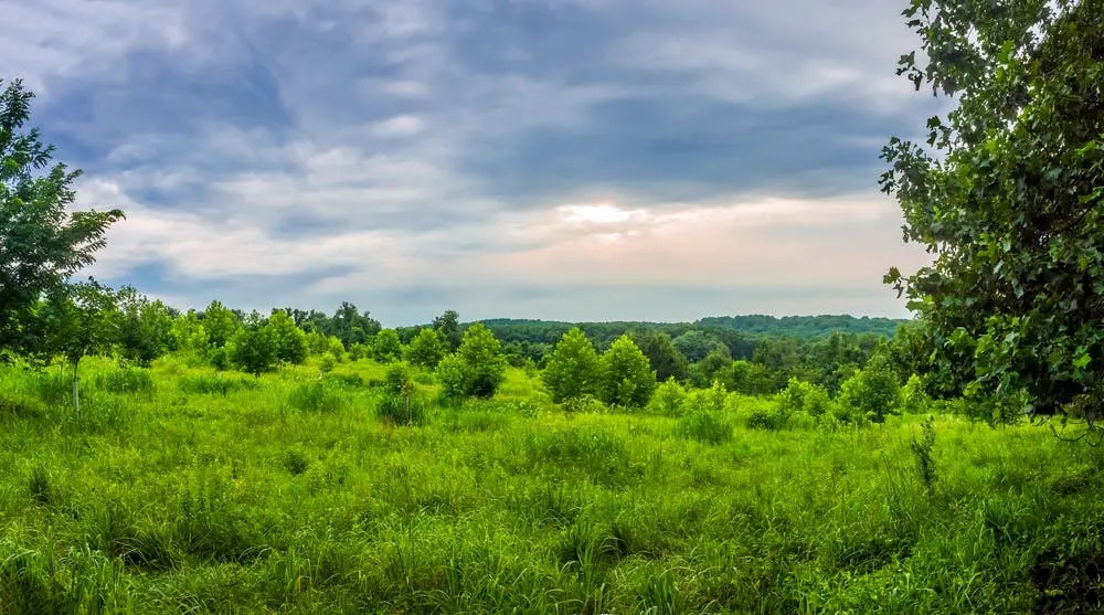 Washington, D.C., to New Haven Road Trip Section Image