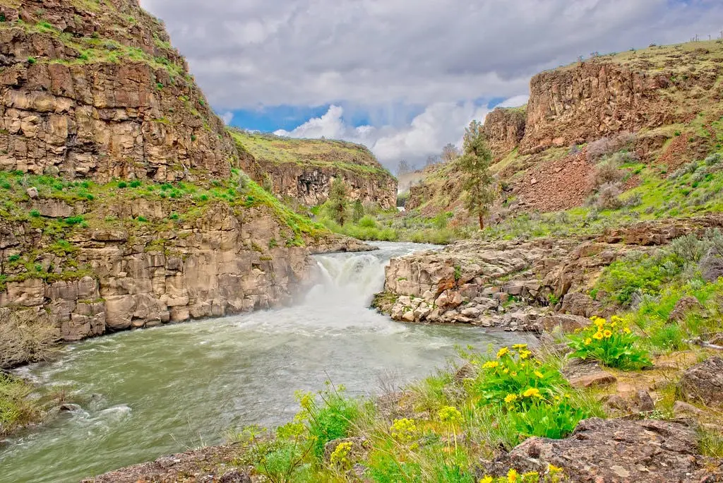 Seattle to Portland Road Trip Section Image