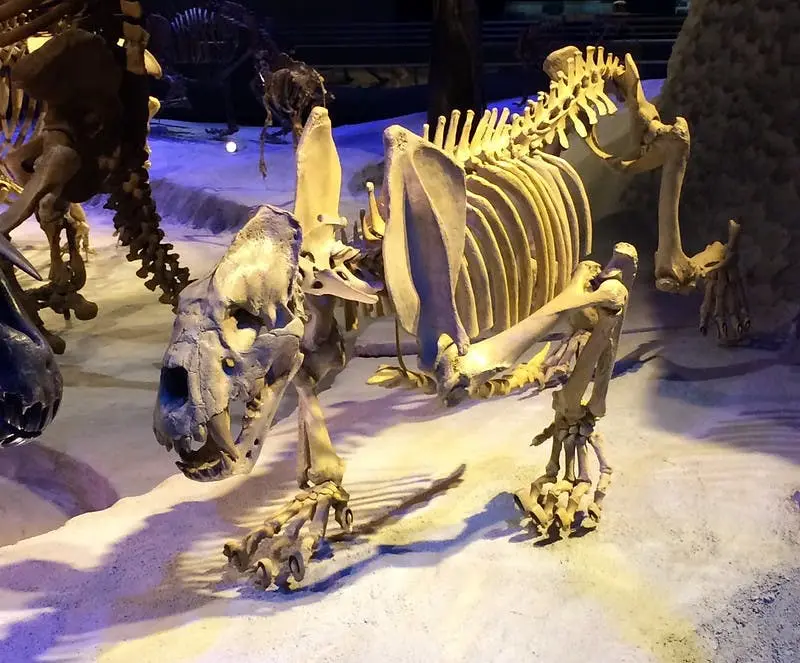 Orlando to Birmingham Road Trip Section Image