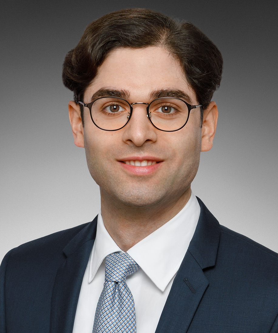 Image: Dr. Faraz Maneshkarimy
