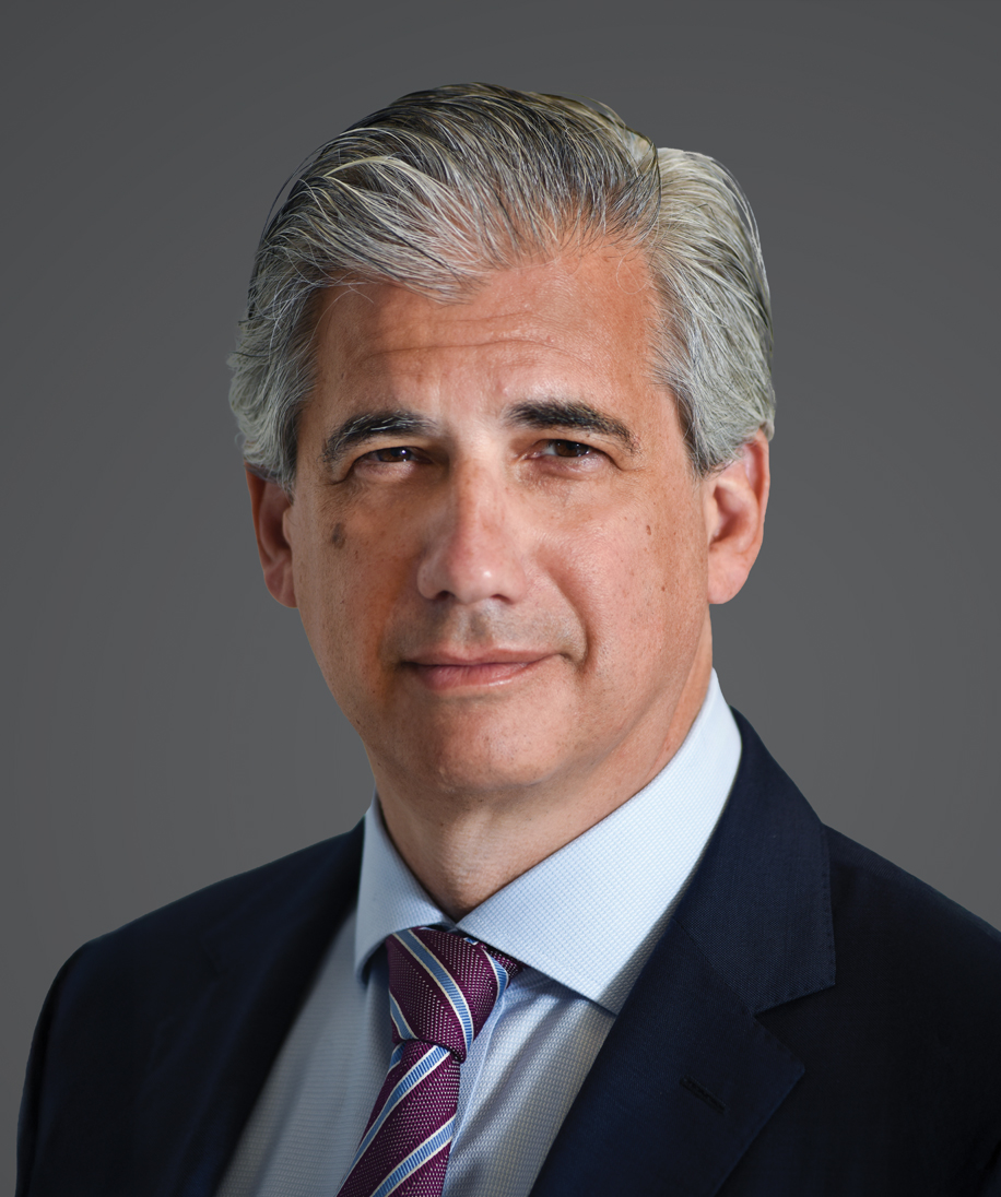 Image: Daniel H. R. Laguardia