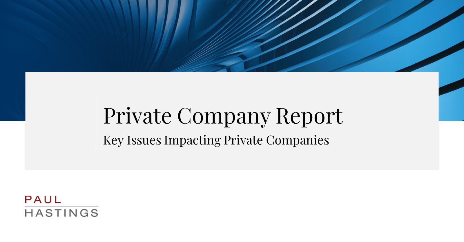 Private Company Report: Fourth Quarter 2024 | Paul Hastings LLP
