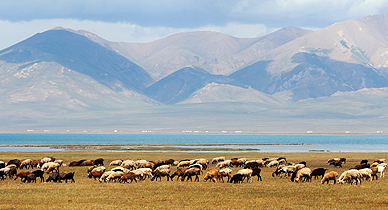 Kyrgyz Republic Landscape