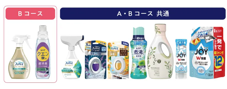 Bコースのプレゼント内容