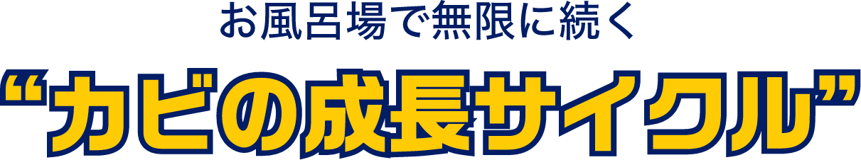 お風呂場で無限に続く“カビの成長サイクル”