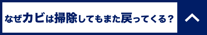 なぜカビは掃除してもまた戻ってくる？