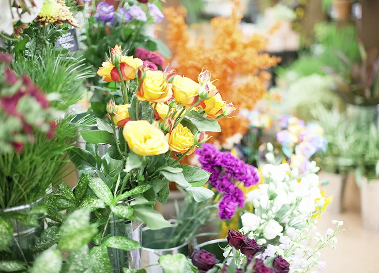 季節の花を買う