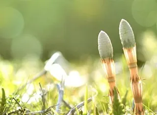 “春バテ”に注意！季節の変わり目に気を付けたい、3つのこと