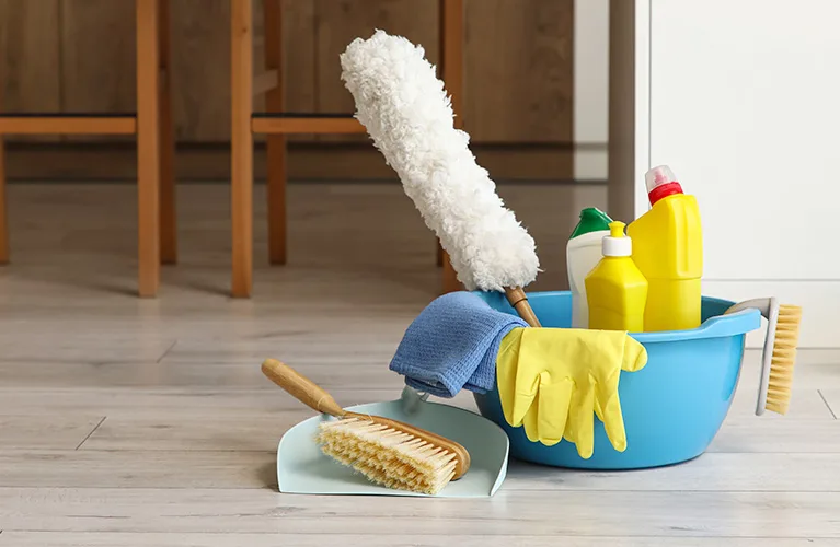 2週間に一度プロを呼んで2～3時間掃除してもらう