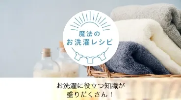 【単品9個セット】 ファブリーズW除菌 消臭プレミアムシトラス&ガーデンの香り本体 P&Gジャパン(代引不可)【送料無料】