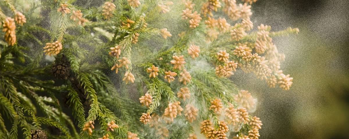 雨の日に洗濯物を干す時のヒント 梅雨 秋雨シーズンの洗濯 P Gマイレピ