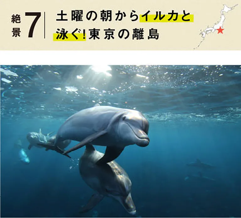 絶景７：土曜の朝からイルカと泳ぐ！東京の離島