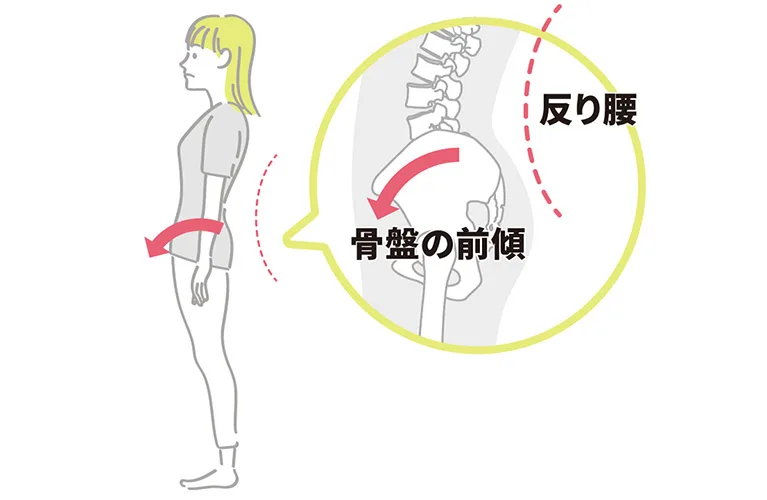 腰・膝痛の予防になる