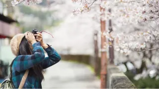 お年頃の子どもも楽しめる！家族みんなで立てる“お出かけプラン”