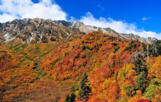 紅葉の絶景