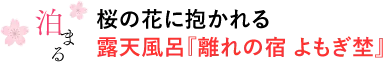 泊まる：桜の花に抱かれる露天風呂『離れの宿 よもぎ埜』