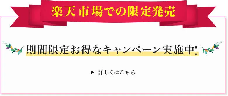 楽天市場で限定発売 期間限定お得なキャンペーン実施中！ ＞詳しくはこちら