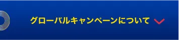 グローバルキャンペーンについて