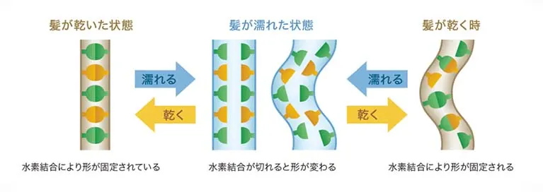 湿気による水分バランスの乱れの原因