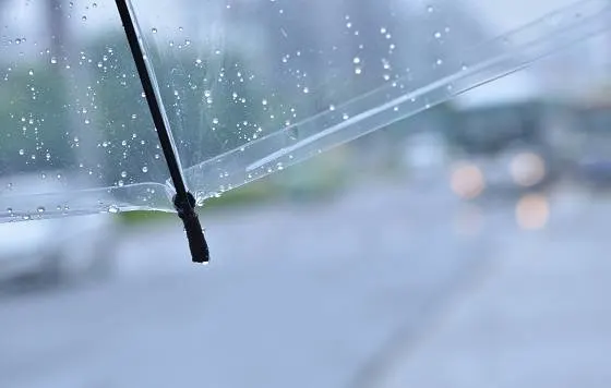 梅雨の憂うつを吹き飛ばす！５つのポイント