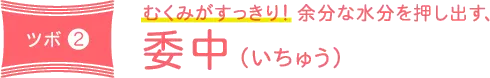 ツボ2 むくみがすっきり！ 余分な水分を押し出す、委中（いちゅう）