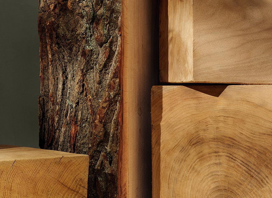 Mörk trädstam med bark bredvid släta, ljusbruna träskivor med årsringar.