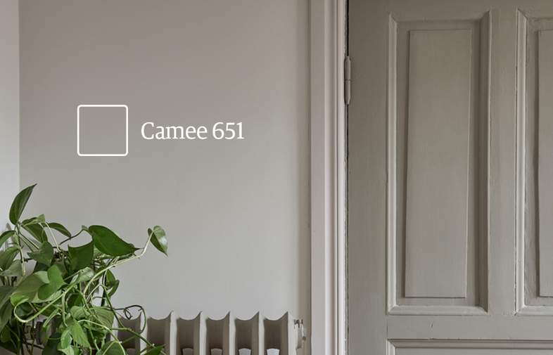 Ljusbeige vägg med färgprovsruta och text “Camee 651”, grön växt på radiator framför ljusgrå dörr