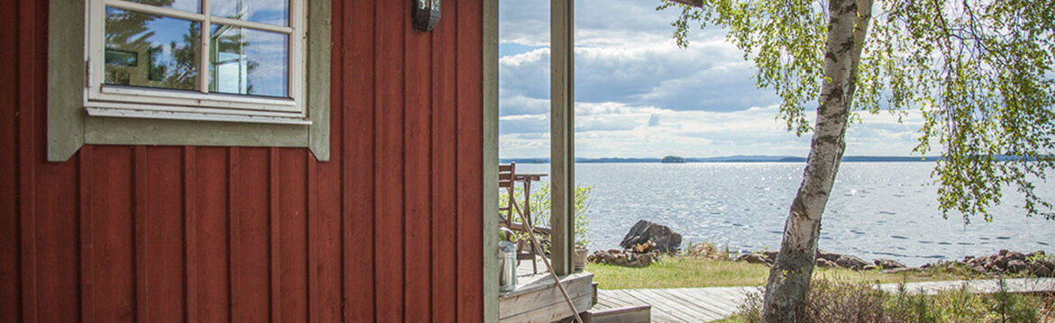 Röd trästuga med uteplats vid sjö, björk i förgrunden under molnig himmel.