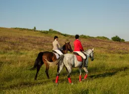 Rhodes Hall Riding