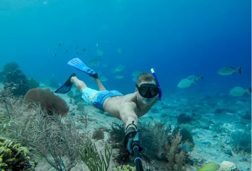 Snorkelling Tours