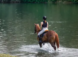 Horseback Ride & Swim