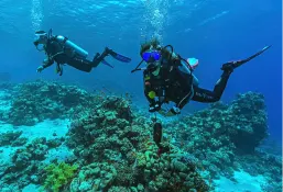 Scuba Diving
