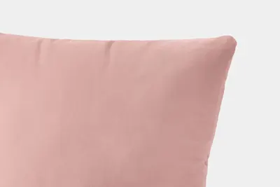 BS Pink