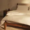 A modern, minimalist bedroom with a gray upholstered bed, white bedding, wooden nightstands, a white rug, a potted plant, and large windows letting in natural light.