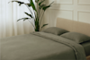 A neatly made bed with olive green bedding and pillows is next to a tall leafy plant by a window with sheer curtains in a softly lit, modern room.