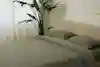 A neatly made bed with olive green bedding and pillows is next to a tall leafy plant by a window with sheer curtains in a softly lit, modern room.
