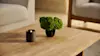 A small black candle and a potted green plant sit on a light wood coffee table, with beige armchairs in the background.
