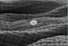 A close-up of a textured gray fabric with a single white button sewn onto it, showcasing the fabrics wavy, quilted pattern and detailed stitching.