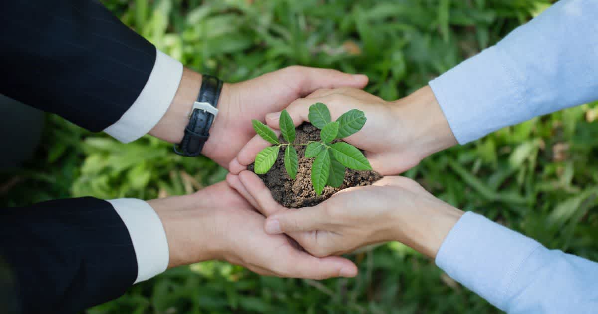 Sustainability in procurement header