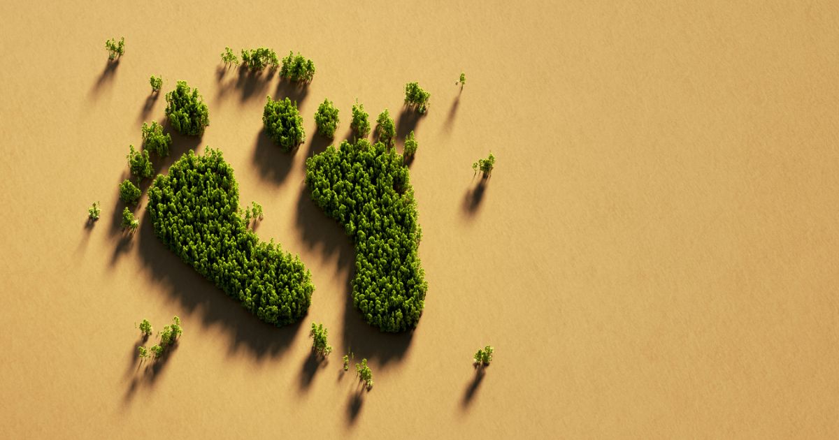 Der Carbon Footprint in der Lieferkette