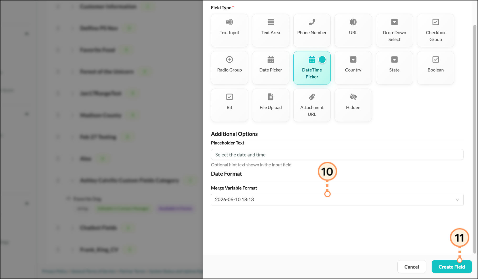 Merge Variable format and blue Create Field button