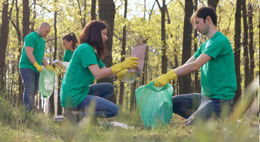 group in the woods planting trees